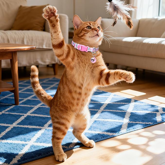 Small Dog Collar with Bell - Image 2