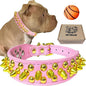 TEEMERRYCA Pink Leather Gold Spiked Studded Dog Collar by TEEMERRYCA