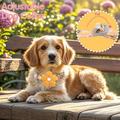 Small Dog Collar with Flower, Puppy Collar - Image 5