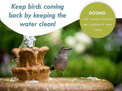 Bird Bath & Fountain Maintenance - Image 3