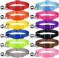 12 PCS Breakaway Cat Collars by Unknown