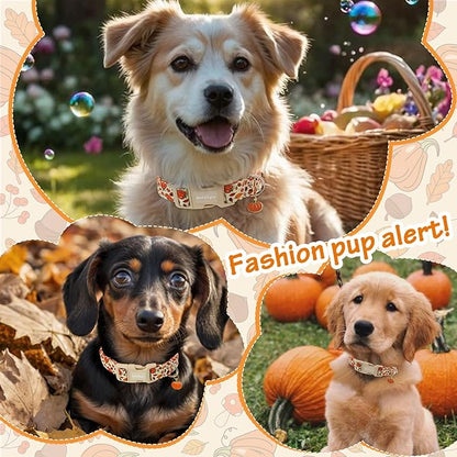 Fall Dog Collar – Halloween & Thanksgiving Dog Collars - Image 3