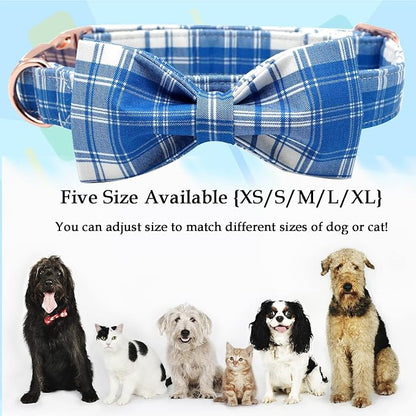 Lionheart glory Dog Collar, Boy Dog Collar Bowtie Blue Plaid Adjustable Dog - Image 3