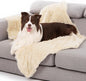 gogobunny Waterproof Dog Blanket by gogobunny