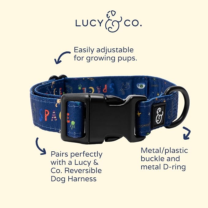 Lucy & Co. Space Doodle Adjustable Dog Collar- Cute Designer Pet Collar - Image 2