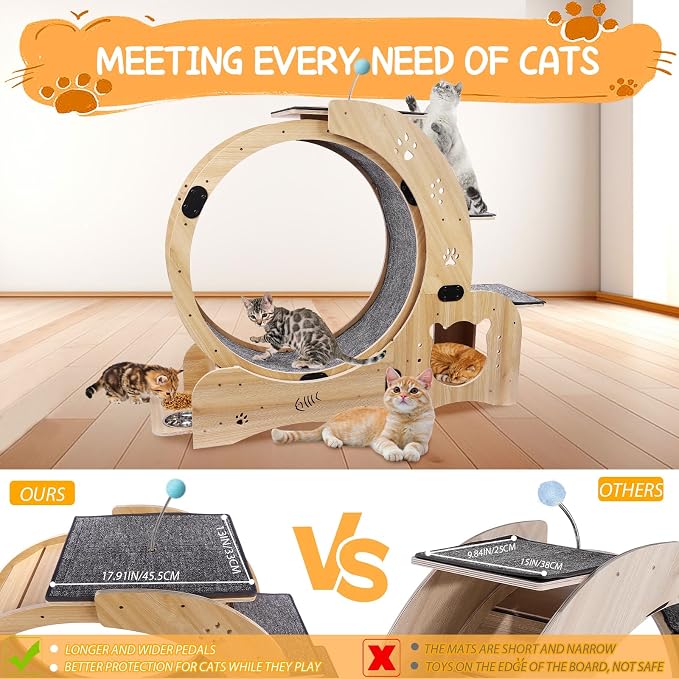 6-in-1 Cat Exercise Wheel - Image 5