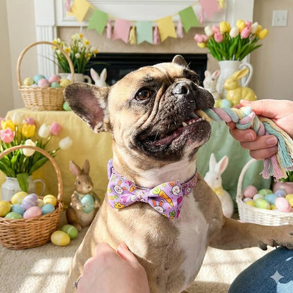 Easter Dog Collar with Bow Tie Set, Adjustable Purple Bunny and Carrot Pattern - Image 6