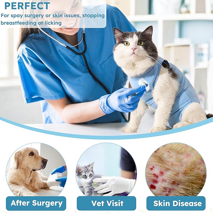 Cat Recovery Suit, Kitten Surgical Bodysuit - Image 8