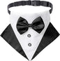 ADOGGYGO Formal Dog Tuxedo Wedding Pet Bandana Collar by ADOGGYGO