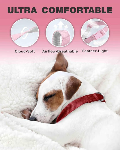 Dynmeow Soft and Breathable Cotton Dog Collar, Durable Adjustable Heavy-Duty - Image 3