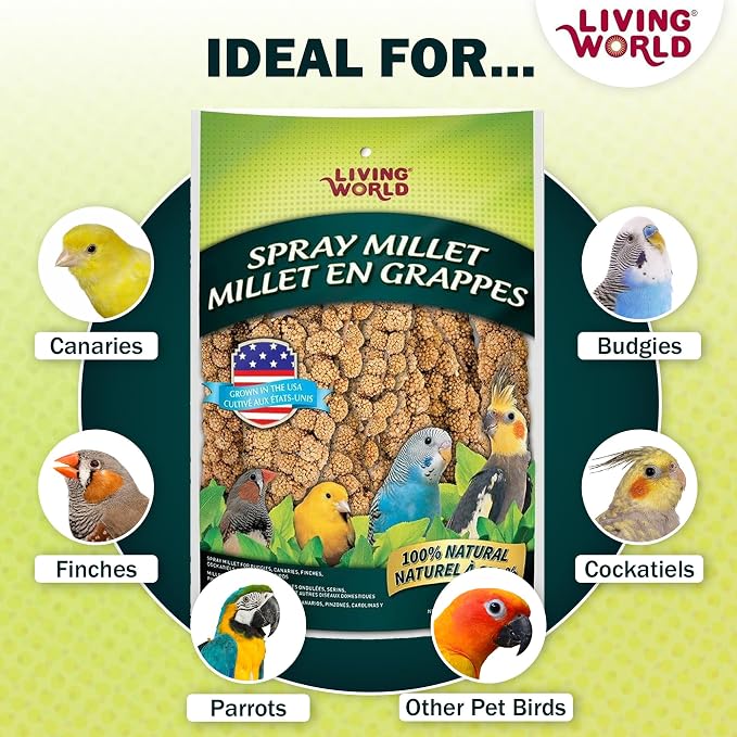 Living World – Millet Spray for Birds, 7 Oz – Premium Treat for Budgies - Image 6