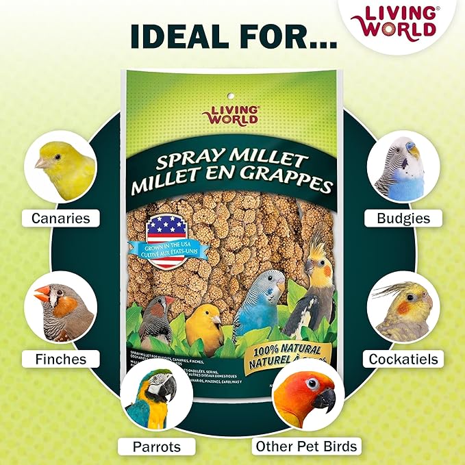 Living World - Millet Spray for Birds, 3.5 Oz – Premium Treat for Budgies - Image 4