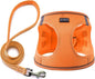 Dog Harness with Leash Set, No Pull Adjustable Reflective Step-in Puppy Pet by BOOMIBOO