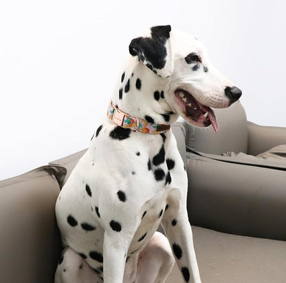 Unique style paws Dog Collar Metal Buckle Orange Collar Gift Durable Cute Collar - Image 5
