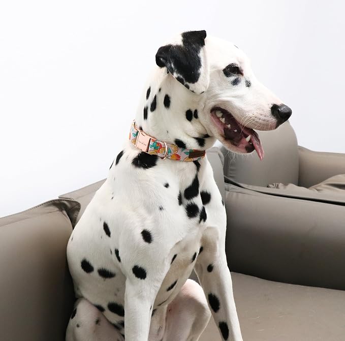 Unique style paws Dog Collar Metal Buckle Gift - Image 5