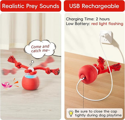 Potaroma Interactive Dog Ball Toys Touch Activated, Rechargeable, Squeaky Dog - Image 6