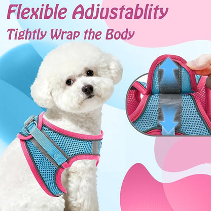 AIITLE Step in Dog Harness and Leash Set - Image 5