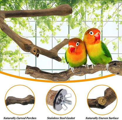 kathson 5pcs Natural Parrot Perch - Image 5