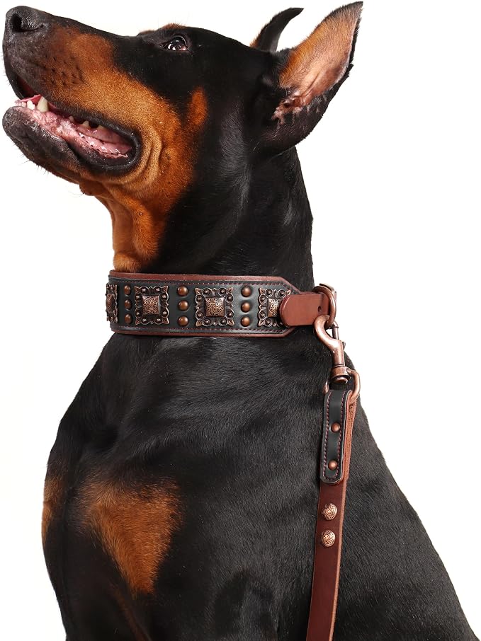 PET ARTIST Genuine Leather Dog Collar - Image 7