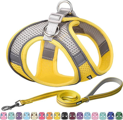 AIITLE Small Harness for Puppy by AIITLE-FORPETSBETTERLIFE