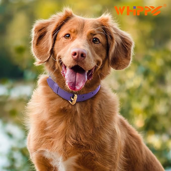 WHIPPY Leather Dog Collar for Small Medium Large Dog Adjustable Soft Breathable - Image 5
