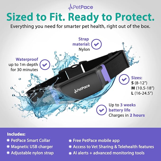 NEW Dog Health Monitor V3.0 by PetPace – AI Smart Collar - Image 7