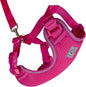 RC Pets Adventure Kitty Cat Harness | Adjustable Airmesh Vest by RCPets