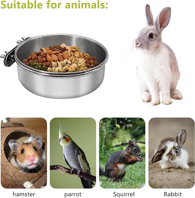 Medium+Large Bird Feeding Dish Cups, Parrot Food Bowl Cage - Image 3