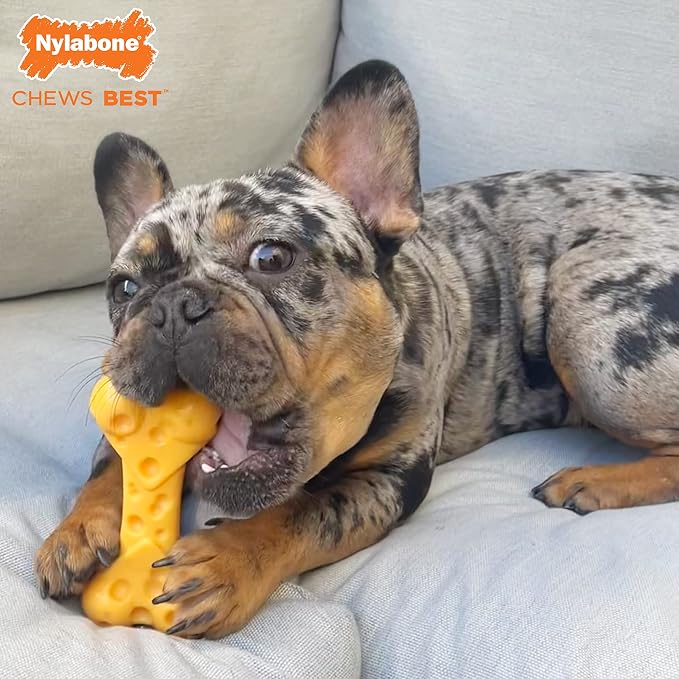 Nylabone Power Chew Toy Bundle, Cute Dog Toys - Image 7