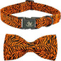 Elegant Little Tail Tiger Print Dog Collar, Unique Seasonal Design, Buckle by Elegantlittletail
