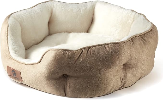Asvin Small Dog Bed for Small Dogs, Cat Beds for Indoor Cats, Pet Bed for Puppy by Asvin