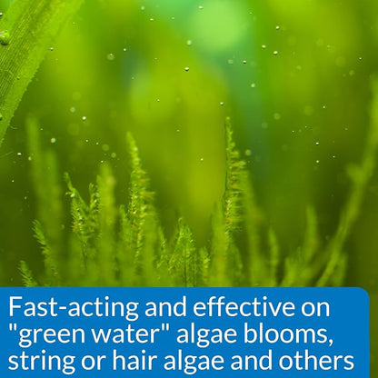 API ALGAEFIX Algae Control 4-Ounce Bottle - Image 3
