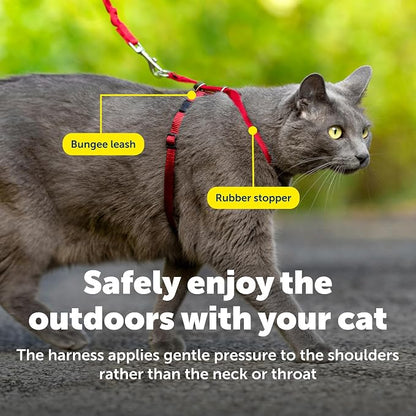 PetSafe Come With Me Kitty Cat Harness & Bungee Leash - Image 6