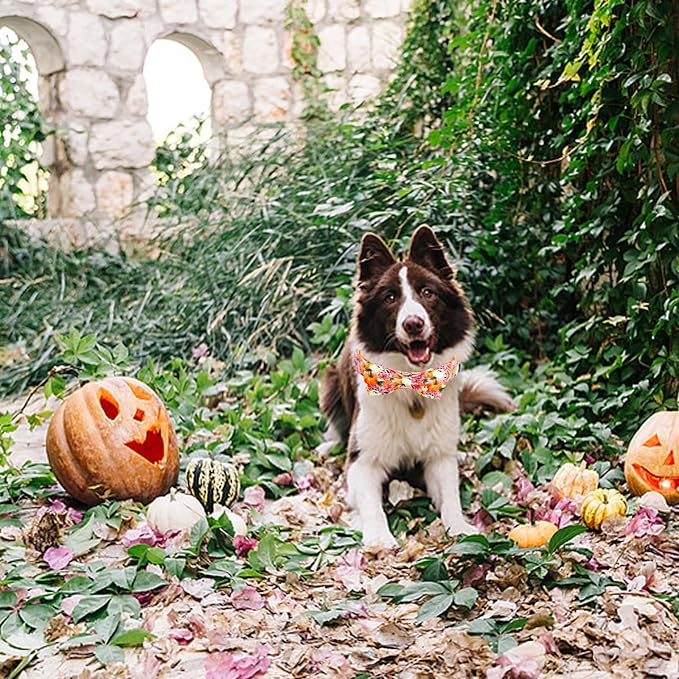 Fall Dog Collar - Image 5