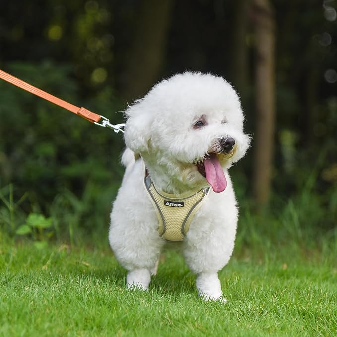 AIITLE Easy Walk Dog Harness and Leash Set - Image 2