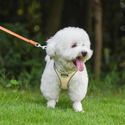 AIITLE Comfortable Dog Harness and Leash Set - Image 8