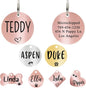 Ultra Joys Dog ID Tag, Custom Dog Tag Personalized Cat Tag, Pet ID Tag by UltraJoys