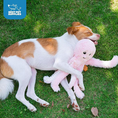 Best Pet Supplies Interactive Squeaky Dog Chew Toy, Ideal Dog Toys - Image 5