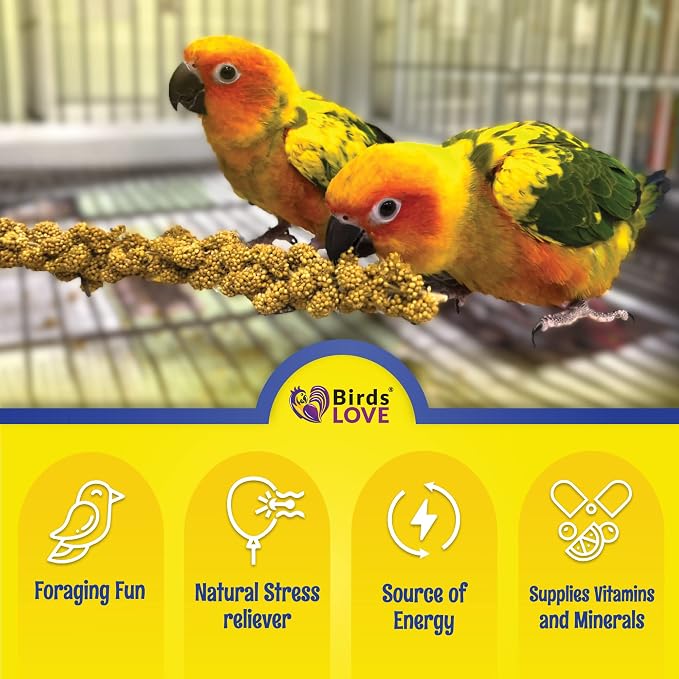 Birds LOVE Economy Special Spray Millet - Image 4