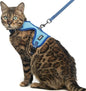 PUPTECK Cat Harness and Leash Set Escape Proof, Reflective Adjustable Soft Mesh by PUPTECK