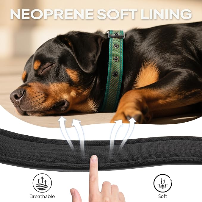 PetiFine Dog Collars for Small Dogs, Neoprene Padded and Adjustable, Reflective - Image 4