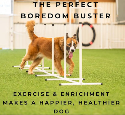 Better Sporting Dogs Agility Course Backyard Set - Image 8