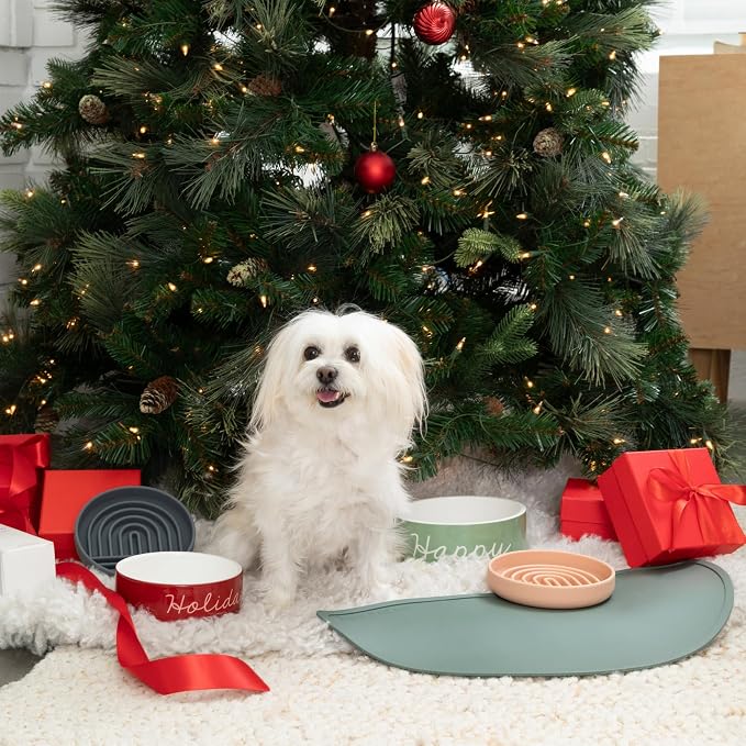 Should We Go - Waterproof Silicone Pet Food Mat - Non-Slip, Spill-Proof Feeding - Image 2