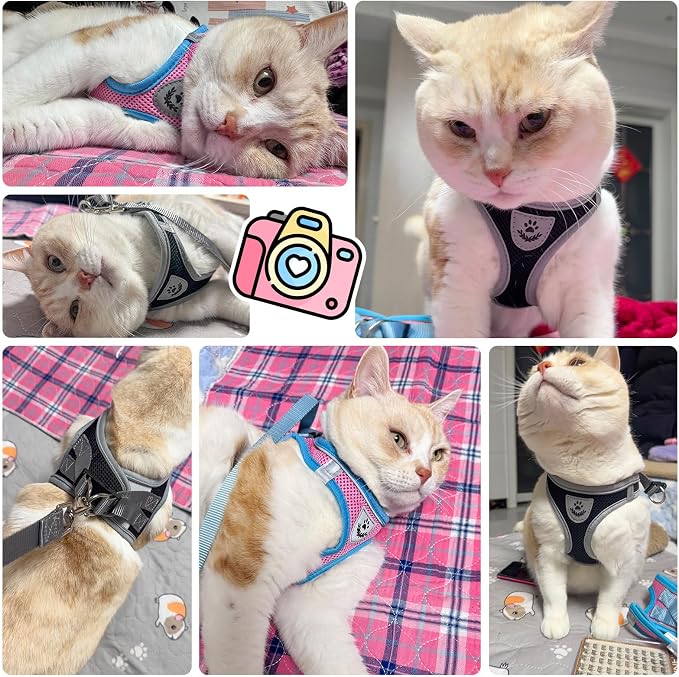 SCENEREAL Cat Harness and Leash Set - Image 7
