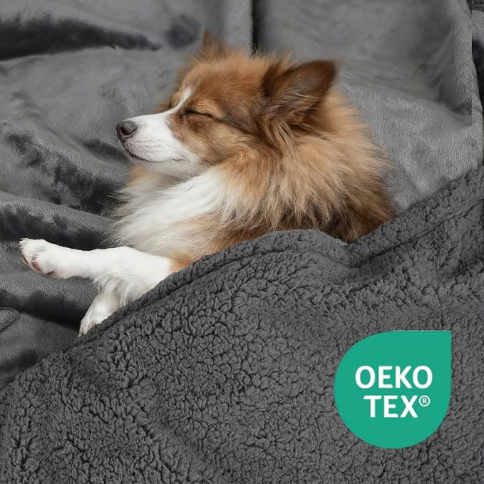 Waterproof Dog Blanket for Medium Dogs - Image 4