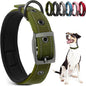 PetiFine Dog Collars for Medium Dogs, Neoprene Padded and Adjustable, by PetiFine
