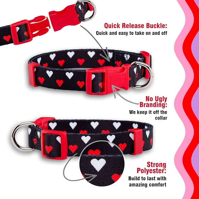 Native Pup Valentine Dog Collar - Image 4