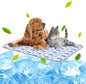 NWK Pet Cooling Mat by NWK
