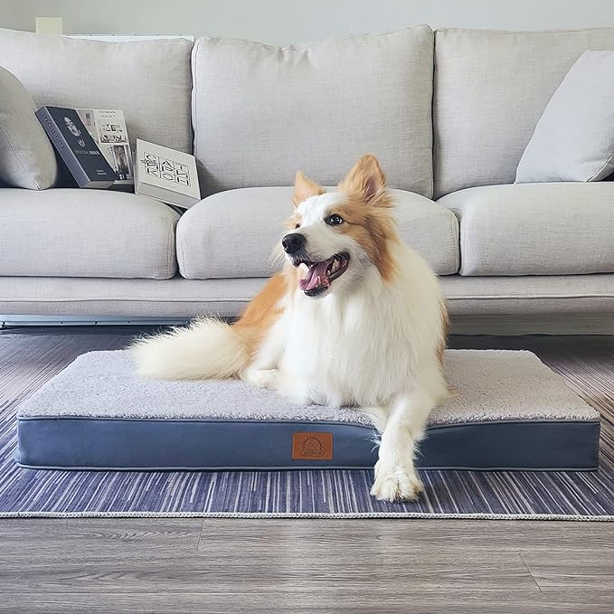 Sunheir Orthopedic Dog Beds for Small Dogs, Waterproof Puppy Bed - Image 5