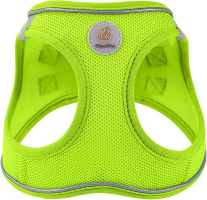 Hipubby Dog Harness and Leash Set, No Pull Soft Mesh Puppy Harness - Image 2